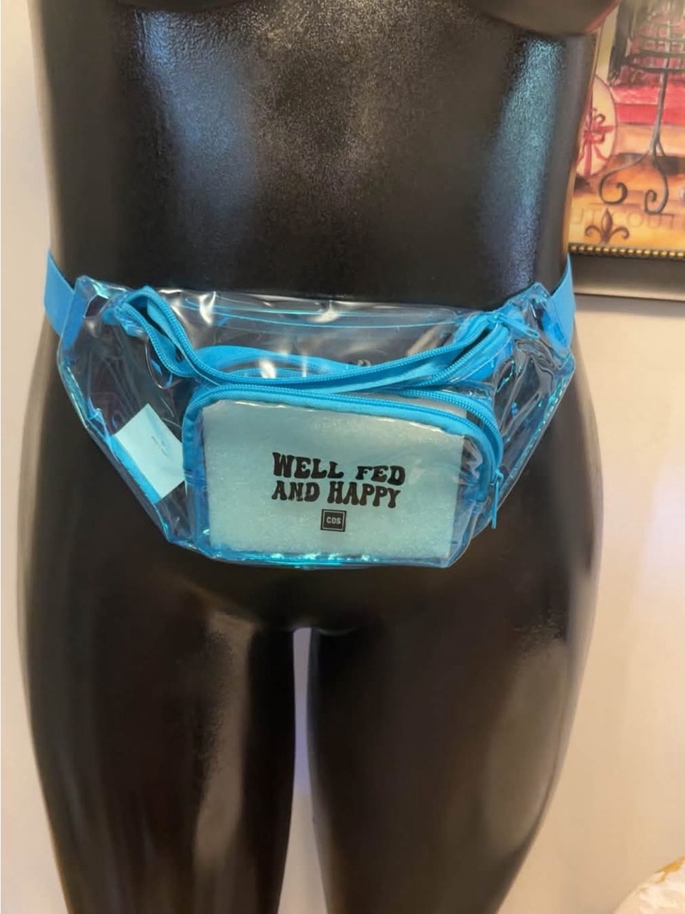 Well Fed and Happy Blue Clear Waist Bag by Victoria's Secret